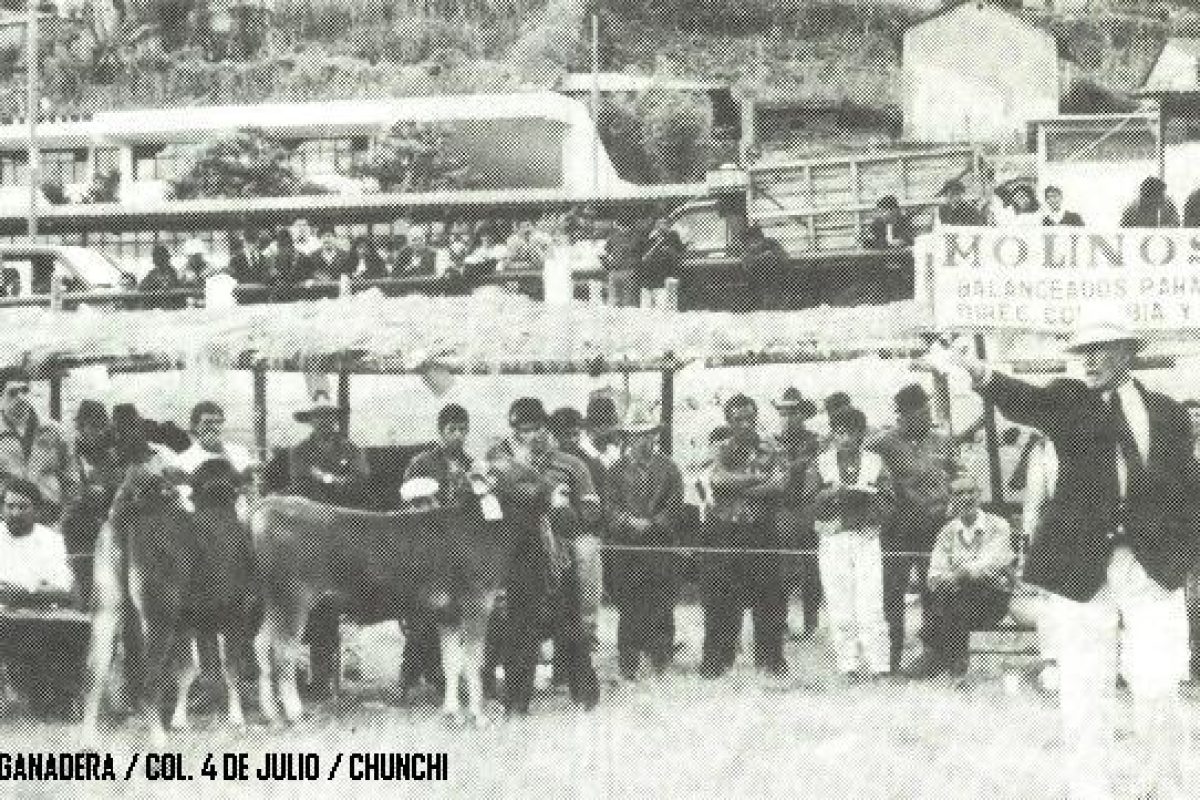 chunchideantao 16